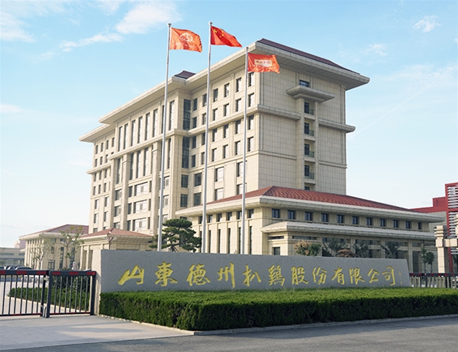 山东德州扒鸡股份有限公司